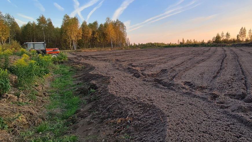 Вспаханное поле под закладку спаржи в Тульской области, борозды уходят к лесополосе