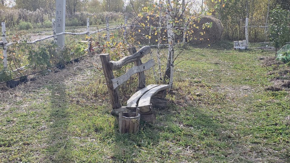 Скамья и бочка из берёзовых брёвен на территории гостевого питомника, рядом рулон сена
